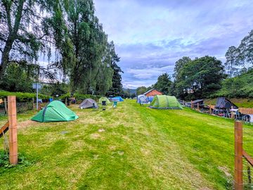 Tent pitches and cars with roof boxes in campervan pitches