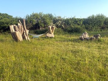 Hammock between stumps! climbable with parents permission!