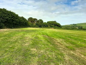 Grass pitches