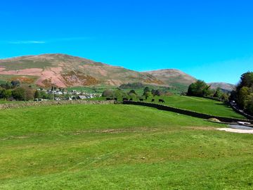 View from the site