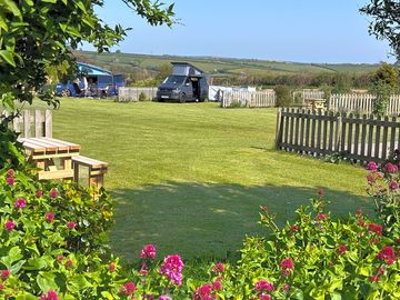 Grass pitches with floral gardens and picket fences