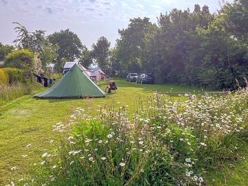 Camping field