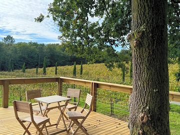 Gorgeous setting between vineyards