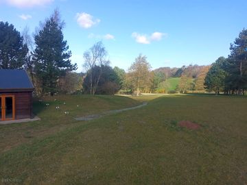 Views across the woodland trust