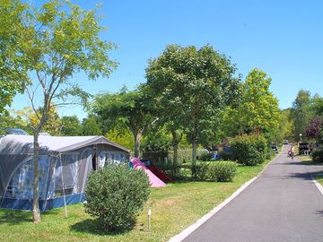 View of the site