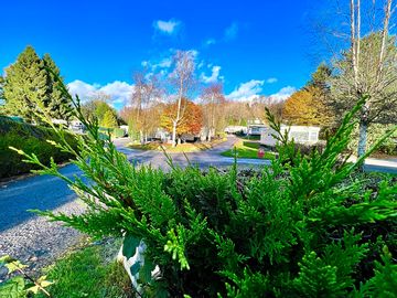 Holiday park with mature landscaping
