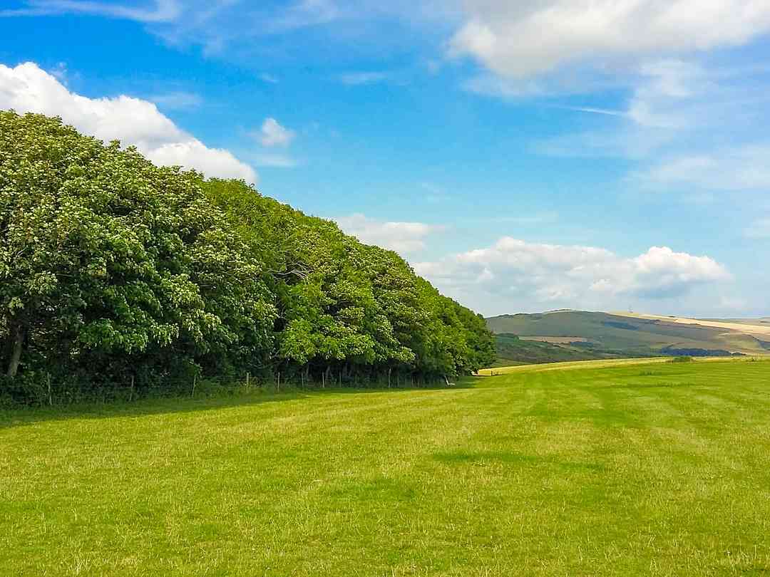 Stud Farm (foto aggiunta dal gestore il giorno 22/08/2022) Stud Farm (foto aggiunta dal gestore il giorno 22/08/2022)
