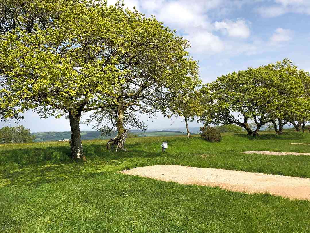 Farway Countryside Park (foto aggiunta dal gestore il giorno 11/06/2024) Farway Countryside Park (foto aggiunta dal gestore il giorno 11/06/2024)