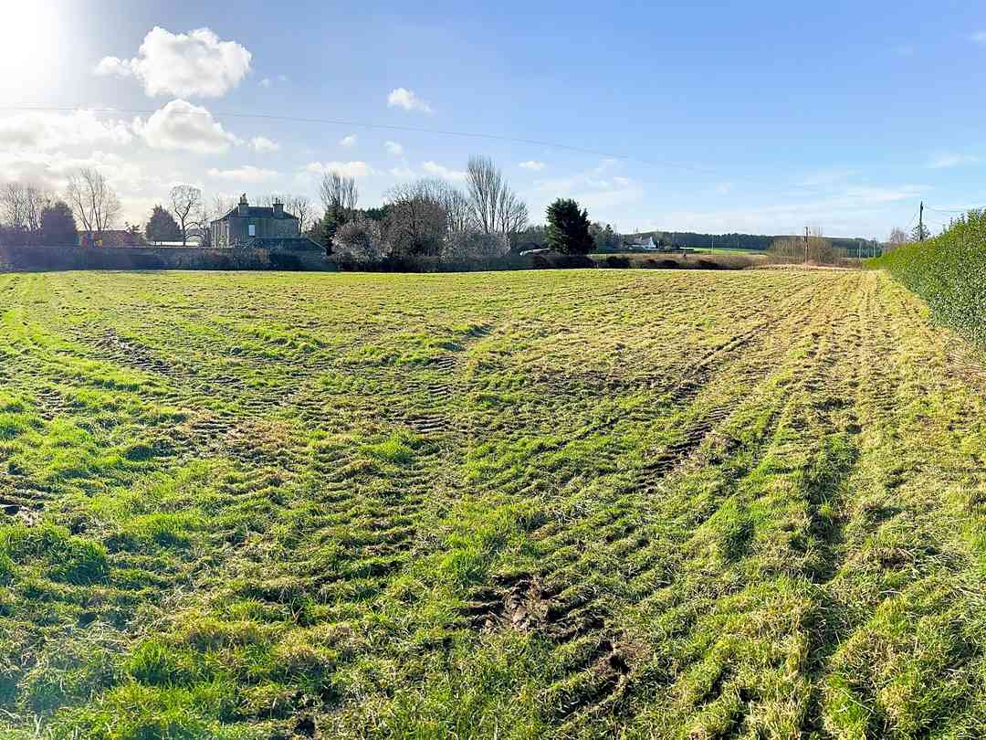 Ballencrieff Farm Campsite (foto aggiunta dal gestore il giorno 11/07/2024) Ballencrieff Farm Campsite (foto aggiunta dal gestore il giorno 11/07/2024)