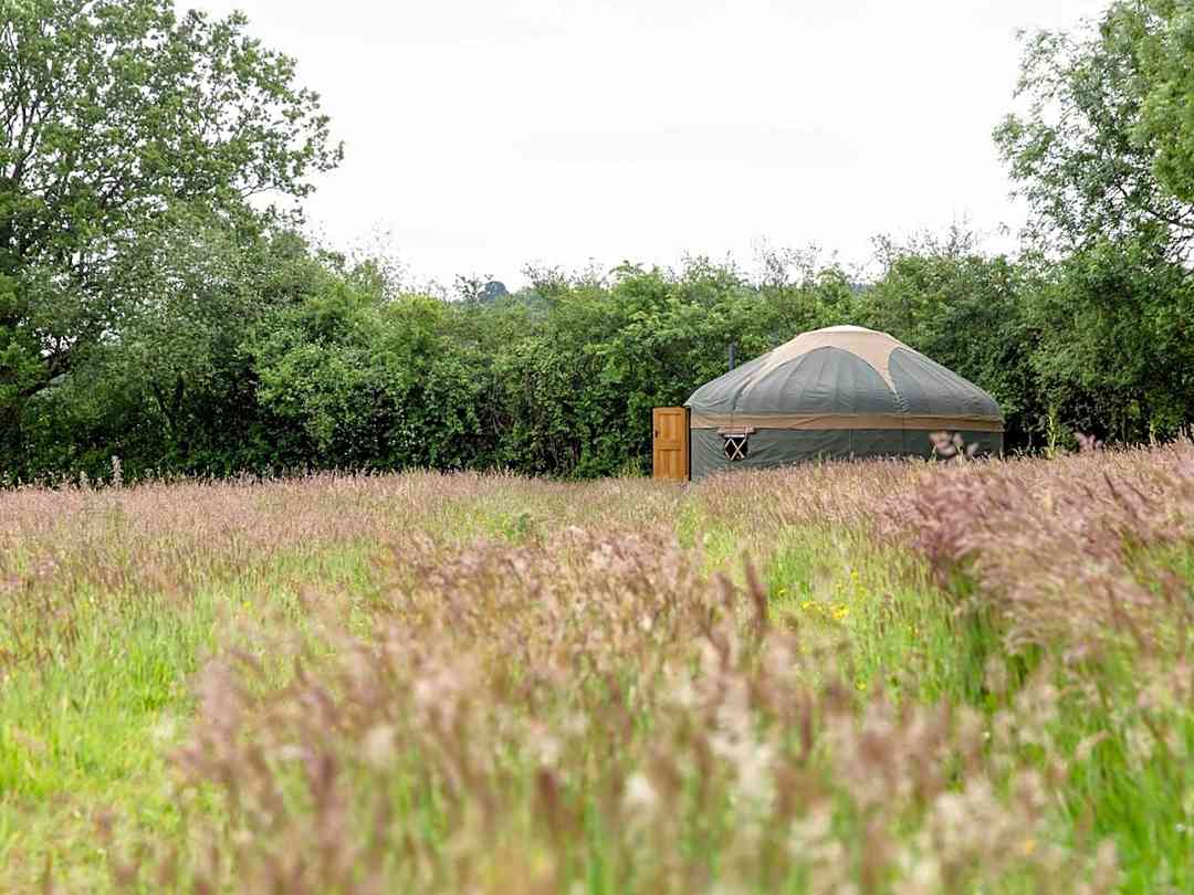 Surrey Hills Yurts (foto aggiunta dal gestore il giorno 08/05/2025) Surrey Hills Yurts (foto aggiunta dal gestore il giorno 08/05/2025)
