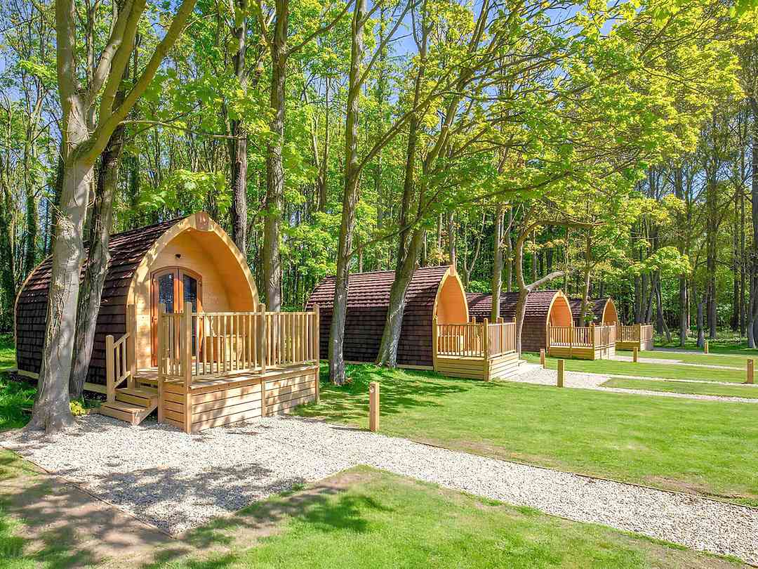 Wighill Park Glamping (foto aggiunta dal gestore il giorno 19/07/2024) Wighill Park Glamping (foto aggiunta dal gestore il giorno 19/07/2024)