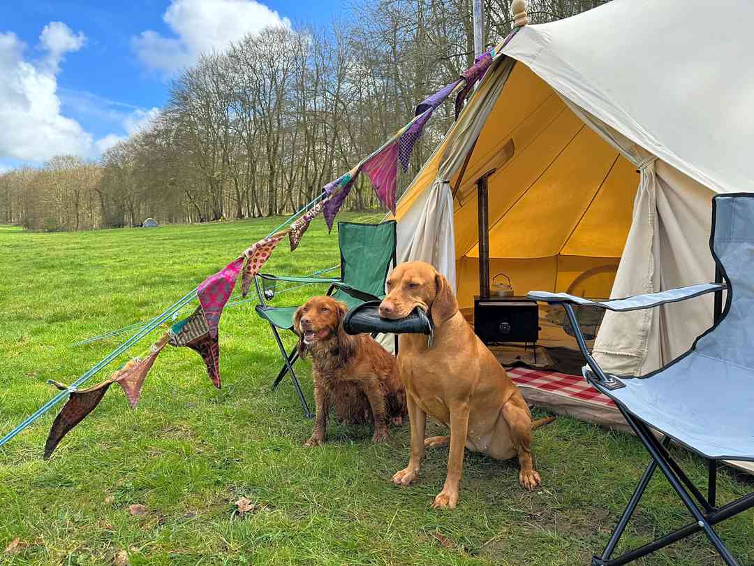 Newhouse Farm Wild Camping (foto aggiunta dal gestore il giorno 02/04/2024) Newhouse Farm Wild Camping (foto aggiunta dal gestore il giorno 02/04/2024)