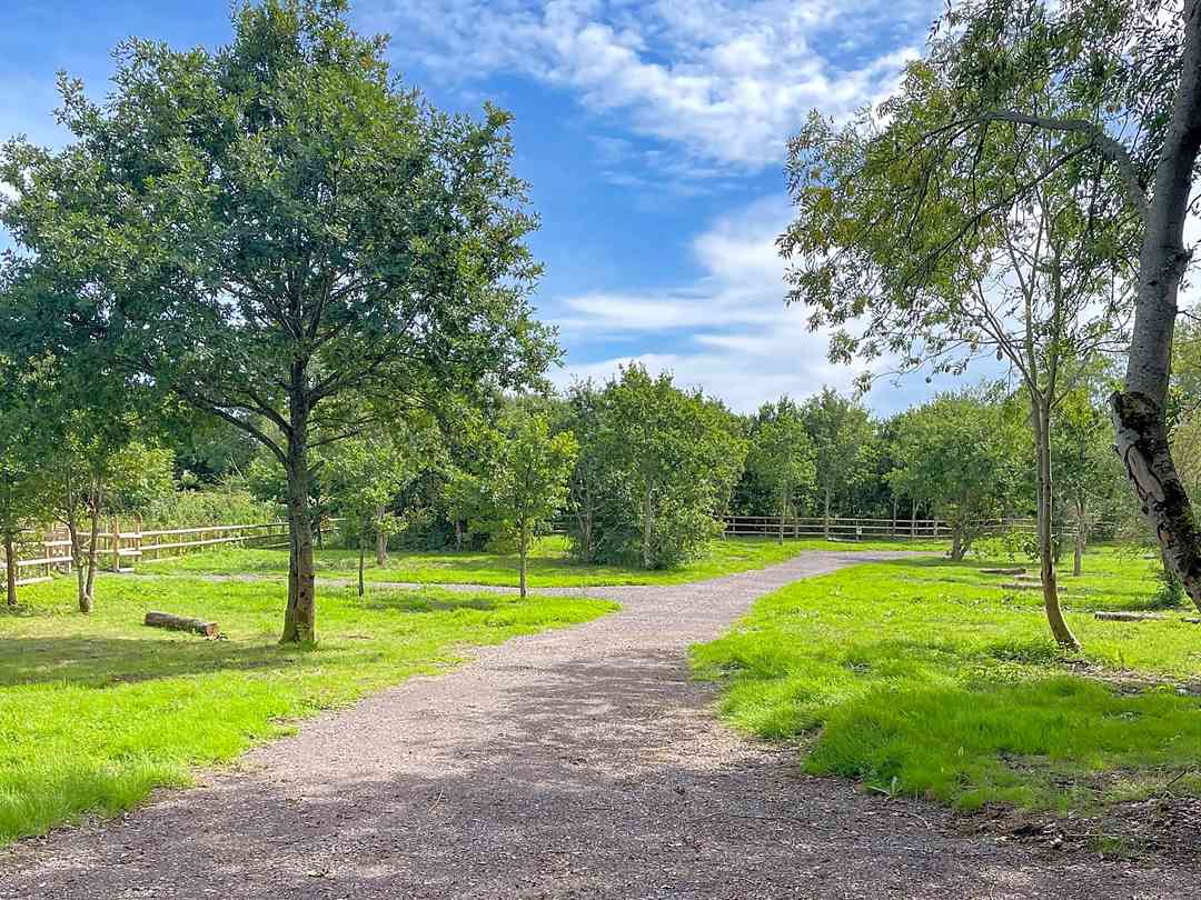 Springfield Oaks (foto aggiunta dal gestore il giorno 23/08/2023) Springfield Oaks (foto aggiunta dal gestore il giorno 23/08/2023)