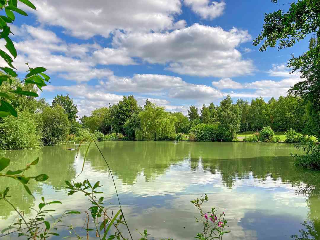 Raker Lakes Caravan Park (foto aggiunta dal gestore il giorno 27/05/2025) Raker Lakes Caravan Park (foto aggiunta dal gestore il giorno 27/05/2025)