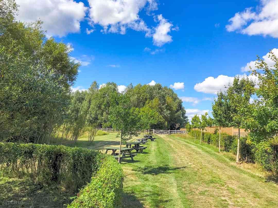 Morelands Copse Camping (foto aggiunta dal gestore il giorno 14/10/2022) Morelands Copse Camping (foto aggiunta dal gestore il giorno 14/10/2022)