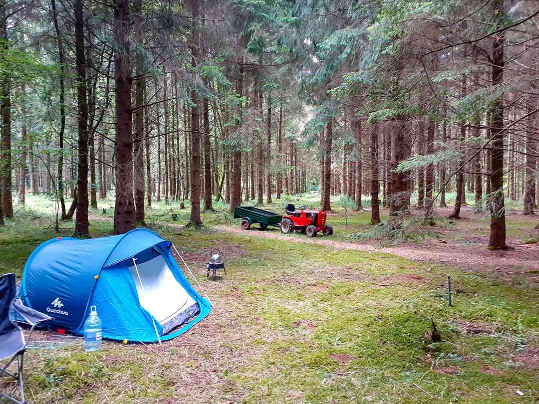 Bridgewood (foto aggiunta dal gestore il giorno 29/09/2022) Bridgewood (foto aggiunta dal gestore il giorno 29/09/2022)