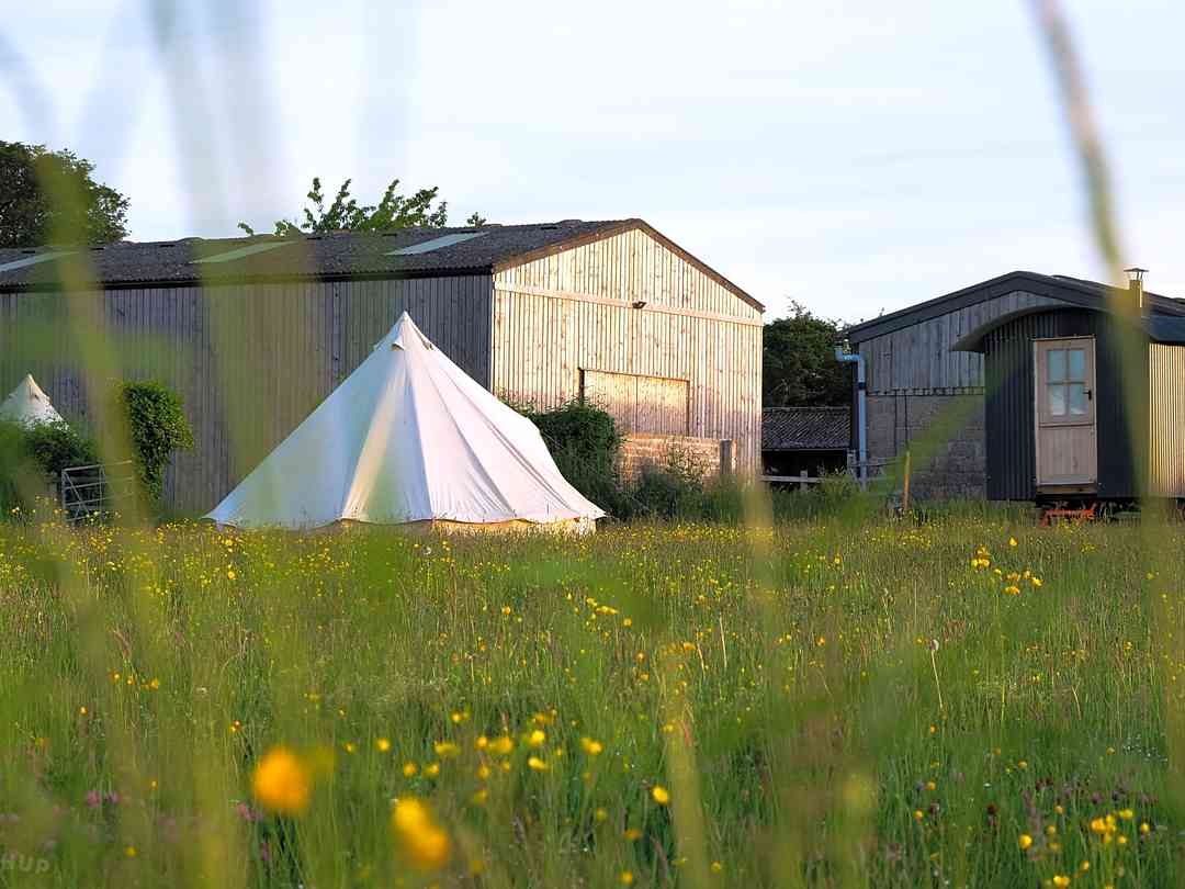 Rushmere Farm (foto aggiunta dal gestore il giorno 06/05/2025) Rushmere Farm (foto aggiunta dal gestore il giorno 06/05/2025)