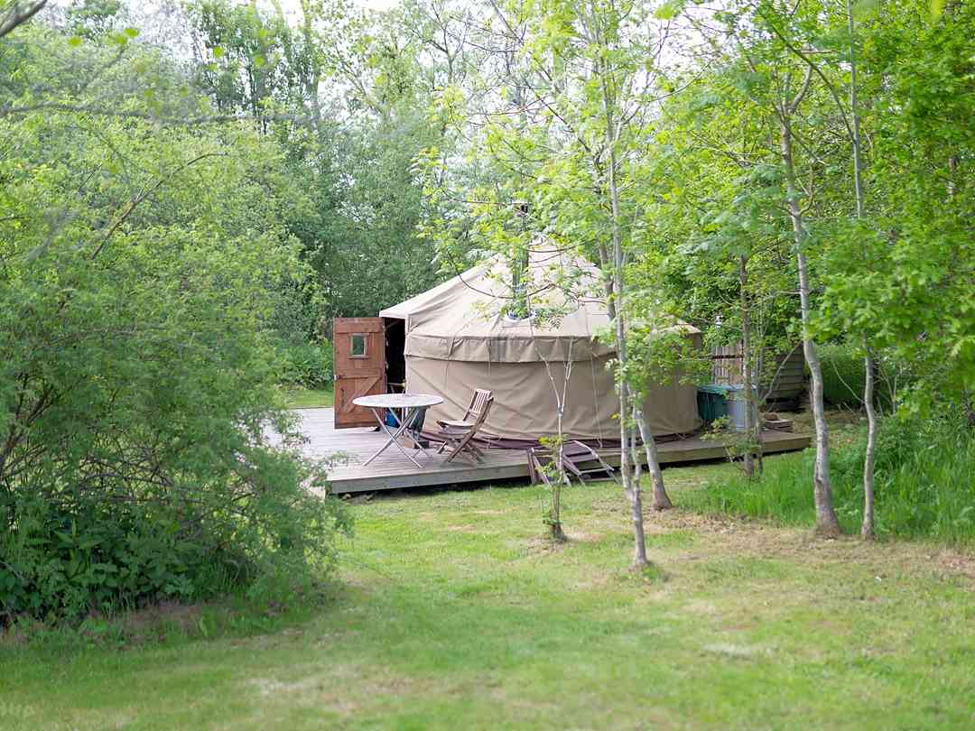 Crockstead Fields (foto aggiunta dal gestore il giorno 10/12/2024) Crockstead Fields (foto aggiunta dal gestore il giorno 10/12/2024)