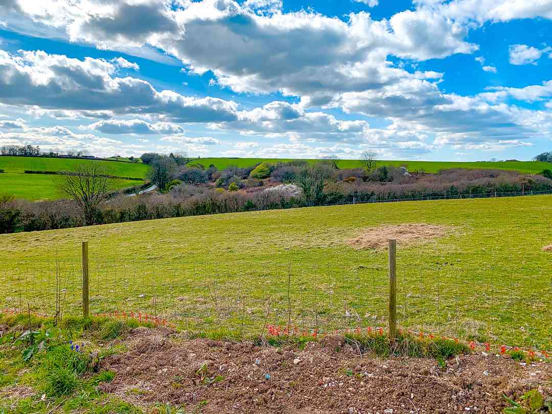 Pear Tree Farm (foto aggiunta dal gestore il giorno 11/10/2022) Pear Tree Farm (foto aggiunta dal gestore il giorno 11/10/2022)