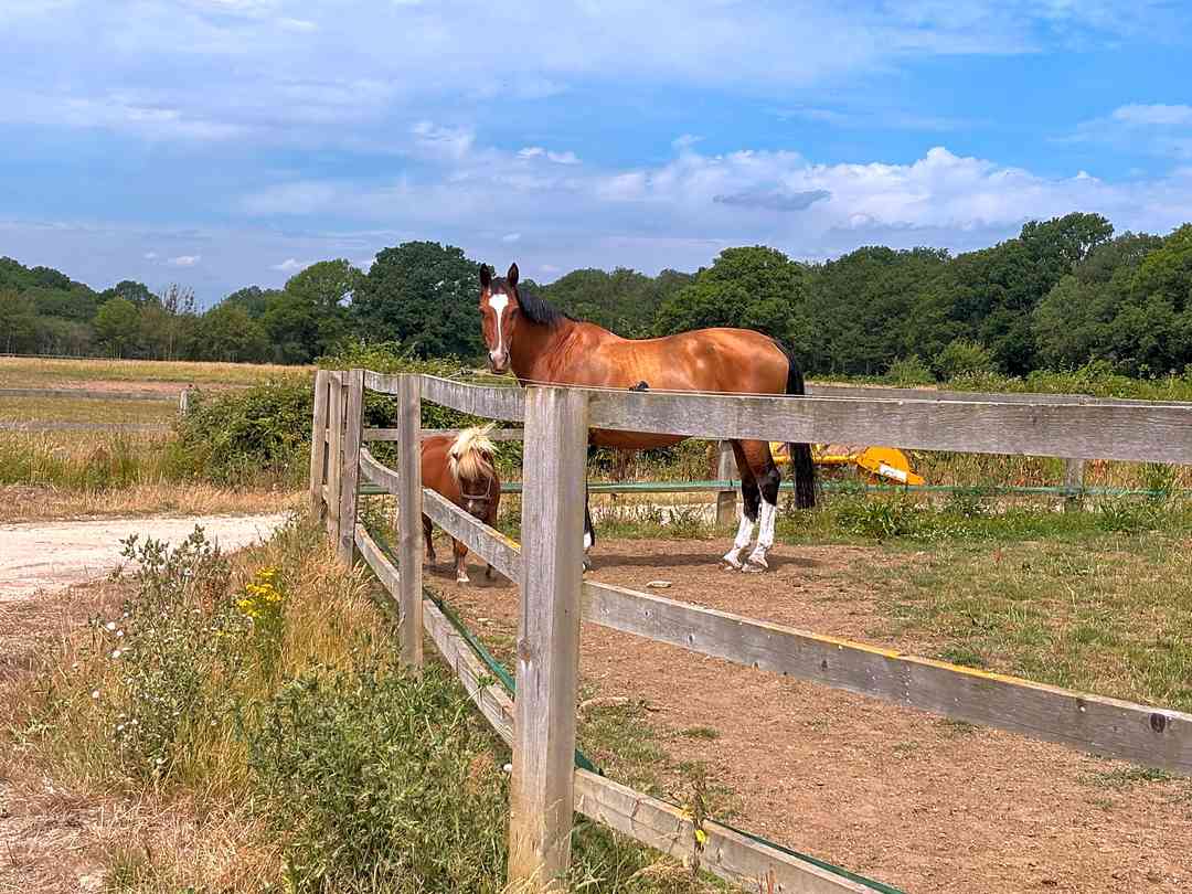 Beech Farm (foto aggiunta dal gestore il giorno 11/07/2025) Beech Farm (foto aggiunta dal gestore il giorno 11/07/2025)
