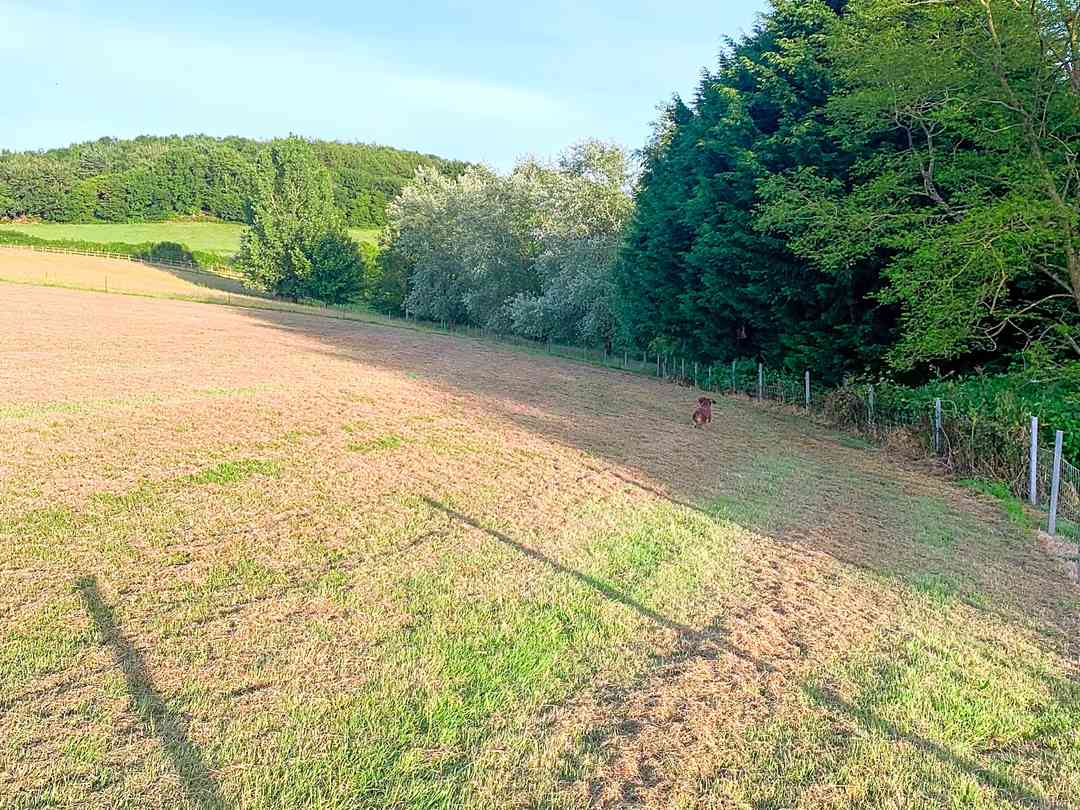 Willow Farm Camp Site (foto aggiunta dal gestore il giorno 15/07/2024) Willow Farm Camp Site (foto aggiunta dal gestore il giorno 15/07/2024)