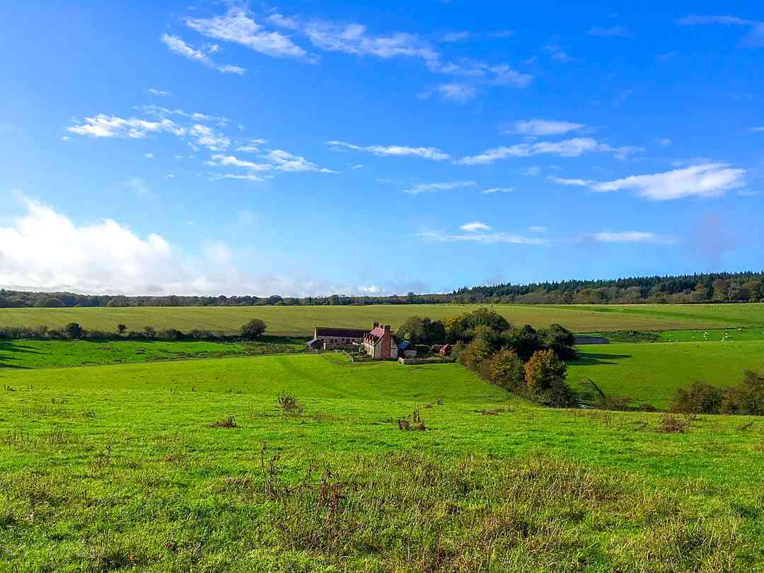 Gumber Farm (foto aggiunta dal gestore il giorno 13/02/2024) Gumber Farm (foto aggiunta dal gestore il giorno 13/02/2024)