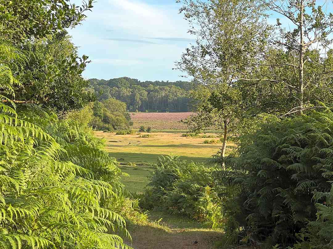 Home Farm (foto aggiunta dal gestore il giorno 29/03/2023) Home Farm (foto aggiunta dal gestore il giorno 29/03/2023)