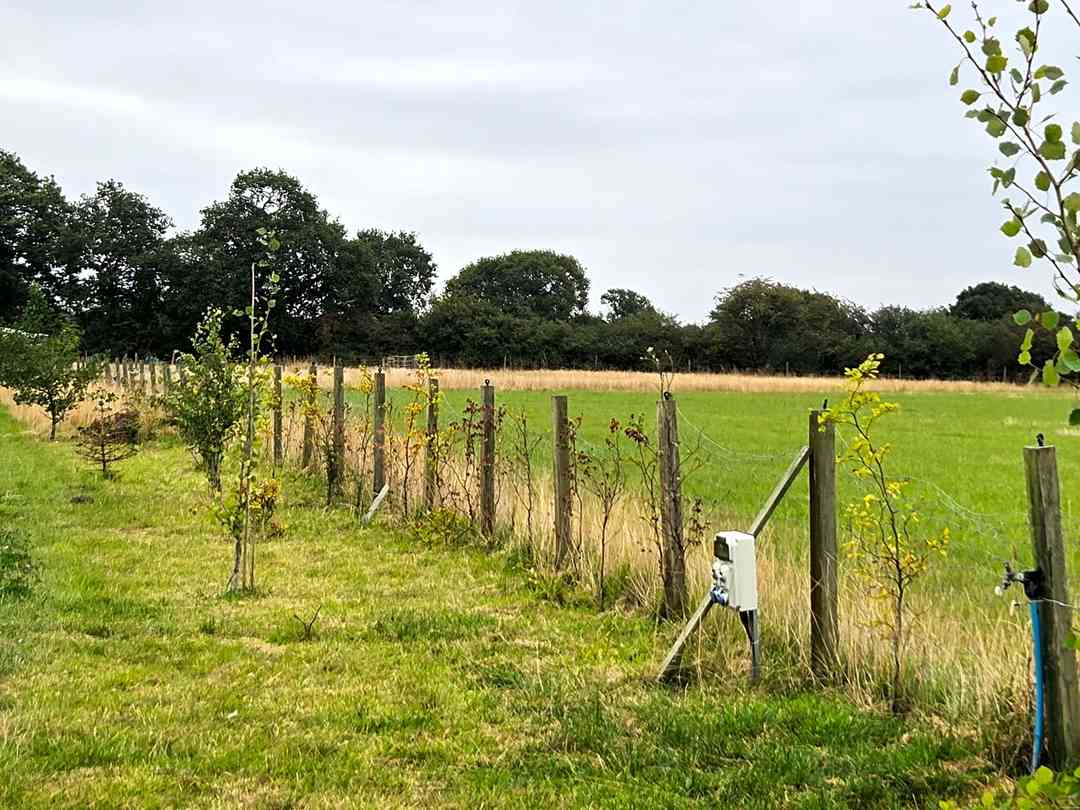 Meadow Field (foto aggiunta dal gestore il giorno 26/08/2025) Meadow Field (foto aggiunta dal gestore il giorno 26/08/2025)