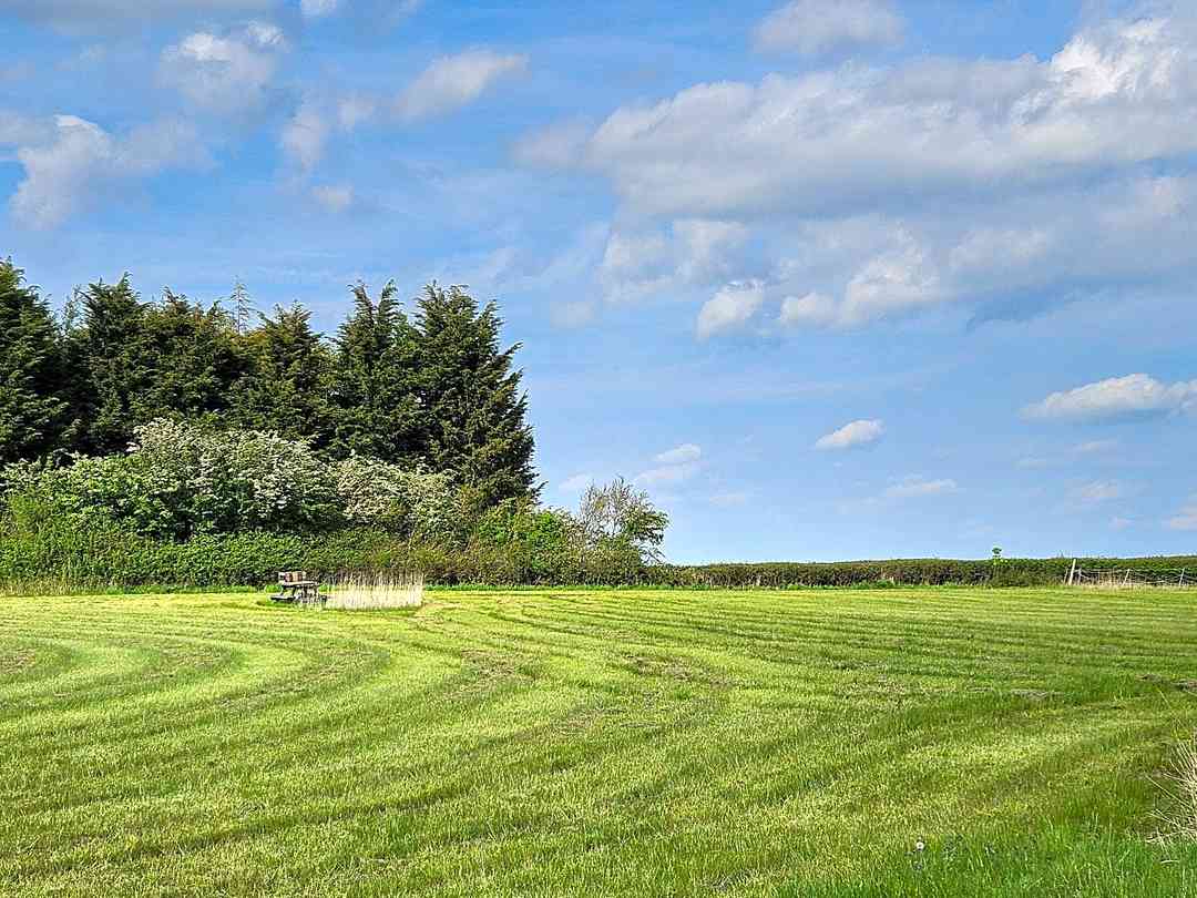 The Nook Campsite (foto aggiunta dal gestore il giorno 17/07/2024) The Nook Campsite (foto aggiunta dal gestore il giorno 17/07/2024)