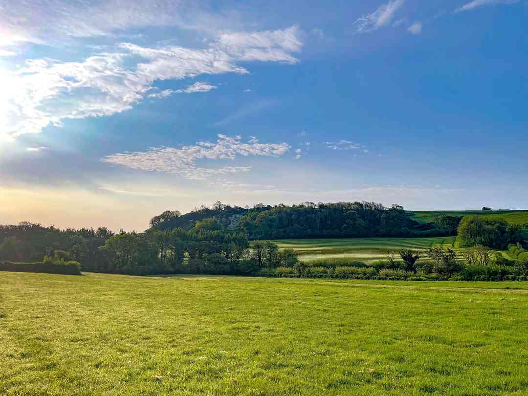 Lanscombe Lane Camping (foto aggiunta dal gestore il giorno 09/07/2025) Lanscombe Lane Camping (foto aggiunta dal gestore il giorno 09/07/2025)