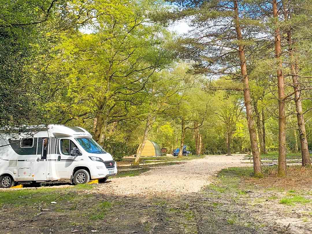 Clouds Hill Glade (foto aggiunta dal gestore il giorno 28/09/2022) Clouds Hill Glade (foto aggiunta dal gestore il giorno 28/09/2022)