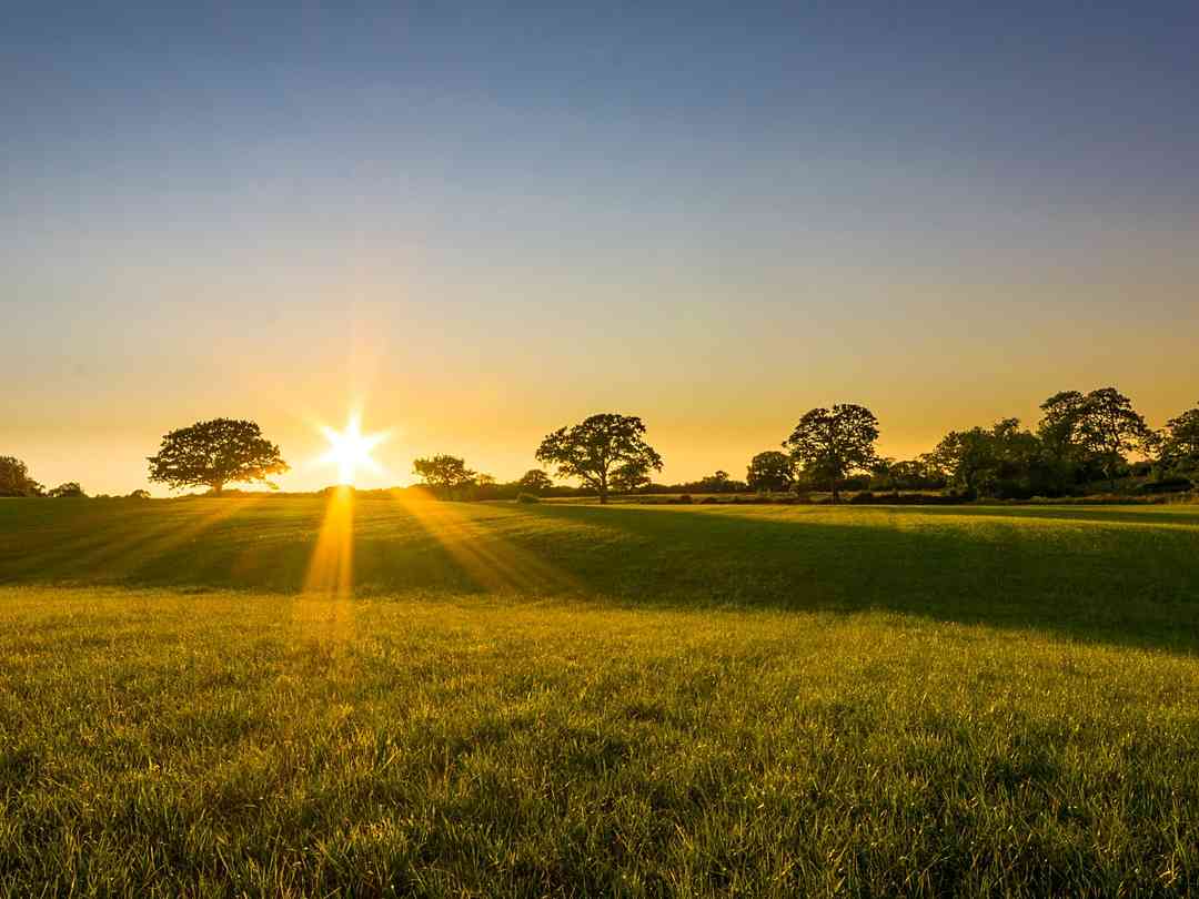 Brewery Farm (foto aggiunta dal gestore il giorno 01/09/2015) Brewery Farm (foto aggiunta dal gestore il giorno 01/09/2015)