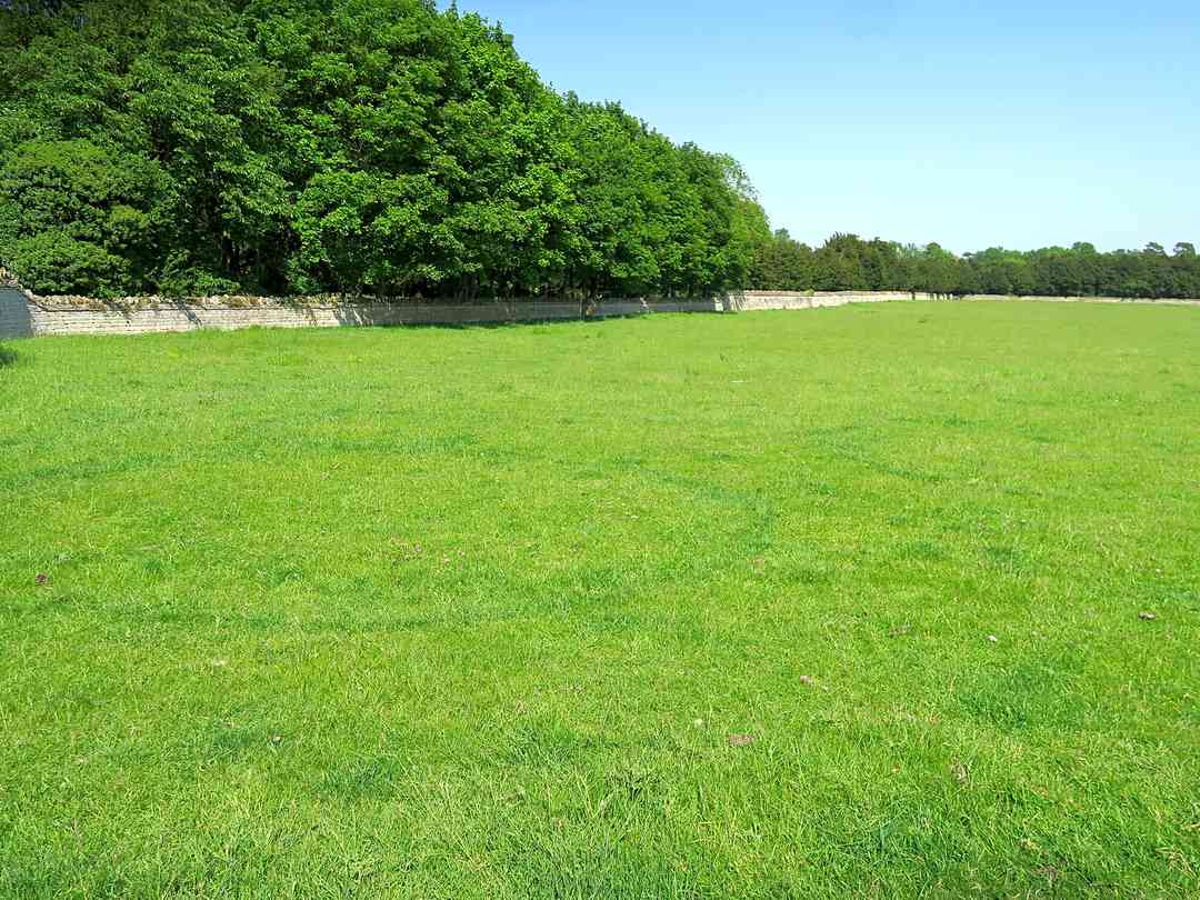 Hereward Way Camping (foto aggiunta dal gestore il giorno 02/07/2024) Hereward Way Camping (foto aggiunta dal gestore il giorno 02/07/2024)