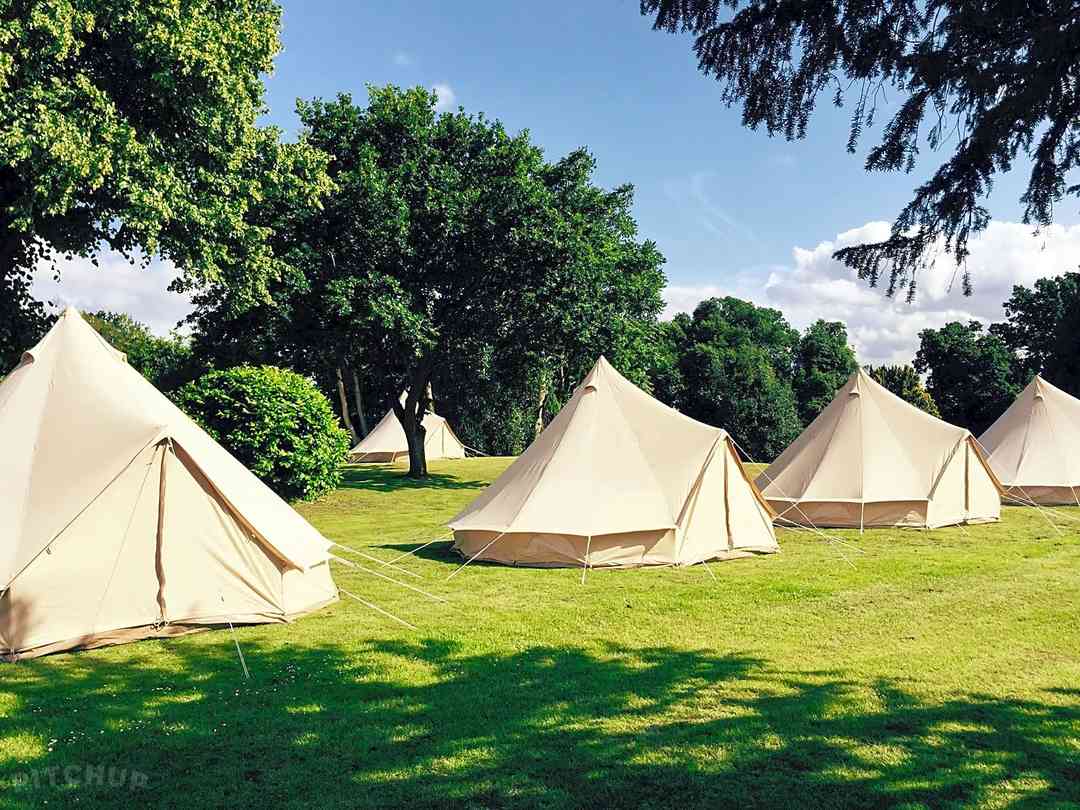 Edinburgh Festival Glamping (foto aggiunta dal gestore il giorno 18/11/2024) Edinburgh Festival Glamping (foto aggiunta dal gestore il giorno 18/11/2024)