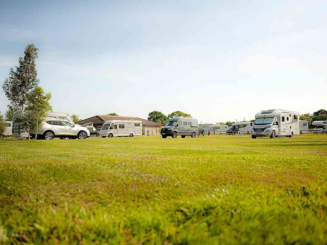 Flaxton Meadows (foto aggiunta dal gestore il giorno 24/08/2023) Flaxton Meadows (foto aggiunta dal gestore il giorno 24/08/2023)
