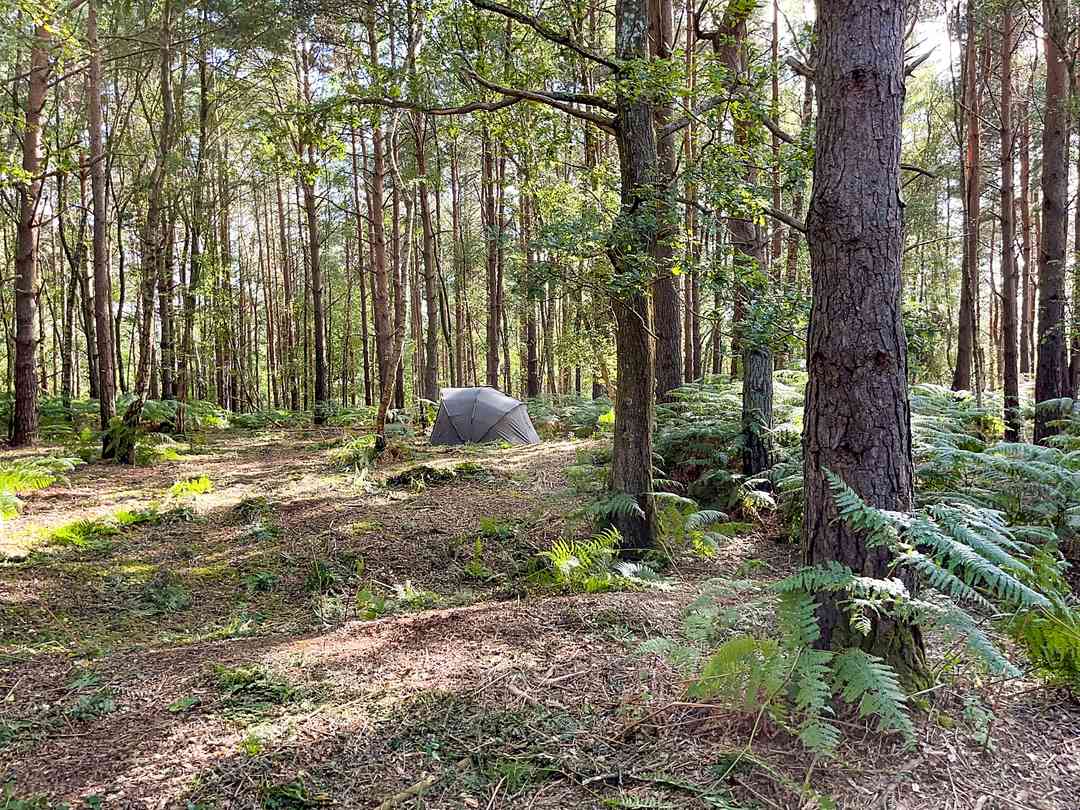 Sparright Farm (foto aggiunta dal gestore il giorno 30/08/2023) Sparright Farm (foto aggiunta dal gestore il giorno 30/08/2023)