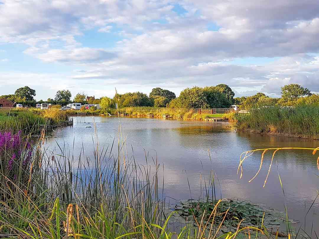 Wagtail Park (foto aggiunta dal gestore il giorno 25/06/2025) Wagtail Park (foto aggiunta dal gestore il giorno 25/06/2025)