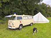 VW Bus & Dogs Welcome (added by manager 15 Jul 2023)