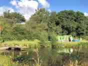 Camping pitches near the lake in the main camping field (added by manager 06 Jun 2024)
