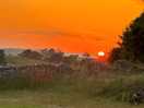 Rural delight