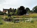 Cute pond