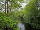 River 1