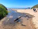 Entry to croyde beach