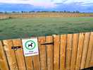 Dog exercising field.