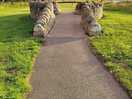 John muir way