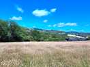 Site camp fields