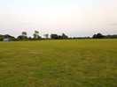Large field