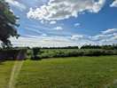Stunning sunny view