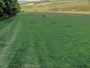 Fields that you walk through up to woodland camping