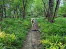 Wakerley woods.